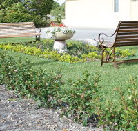 SureStay by BW The Clarence on Melville - C Tourism