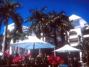 Alamanda Palm Cove - C Tourism 1