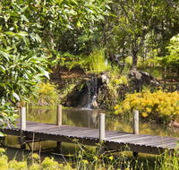 Cedar Park Rainforest Resort - C Tourism