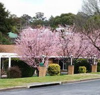 White Lanterns Motel - C Tourism