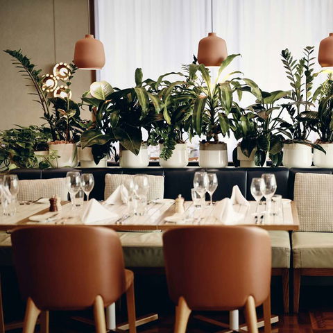 Amora Hotel Jamison Sydney - C Tourism 12