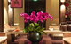 Establishment Hotel - thumb 5