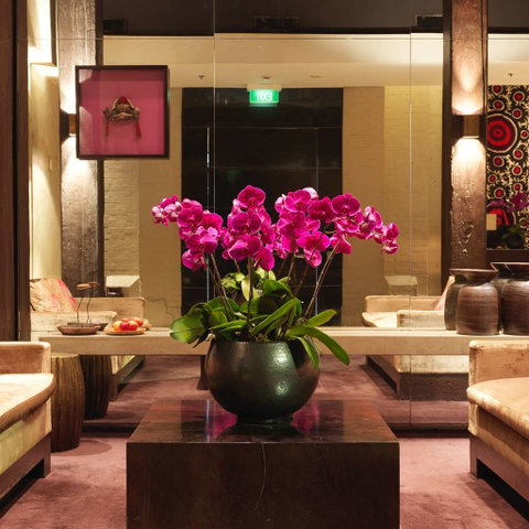 Establishment Hotel - C Tourism 5