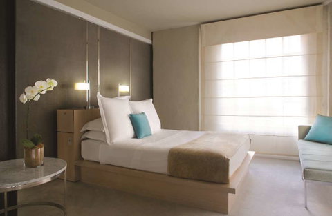 Establishment Hotel - C Tourism 6