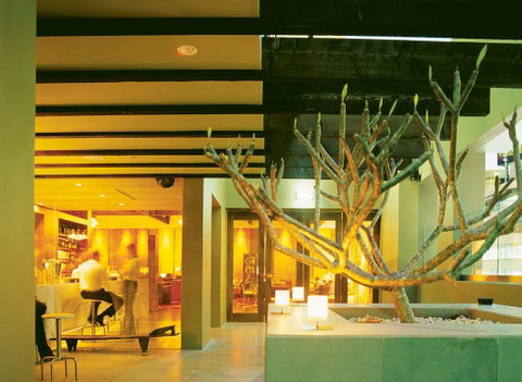 Establishment Hotel - C Tourism 12