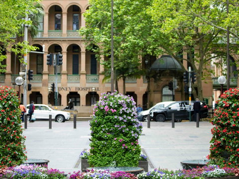 Mercure Sydney Martin Place - C Tourism 16