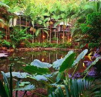 Daintree Eco Lodge  Spa - C Tourism