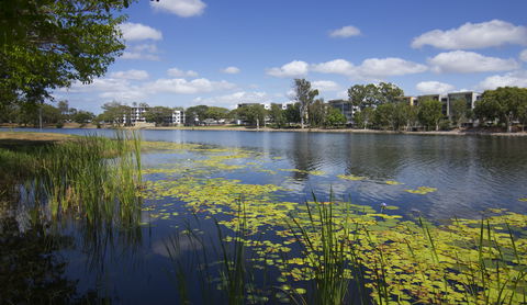 Itara & Jacana Apartments - C Tourism 2