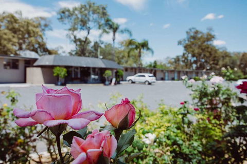 Artesian Spa Motor Inn - C Tourism 2