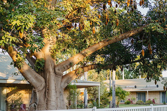 Drysdale River WA C Tourism