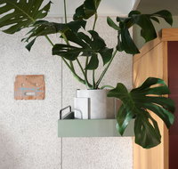 ACE Hotel Sydney - C Tourism