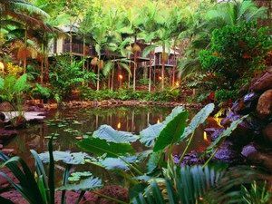 Daintree QLD C Tourism