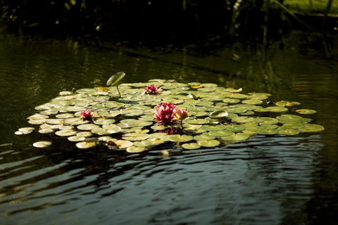 University House - ANU - C Tourism 17