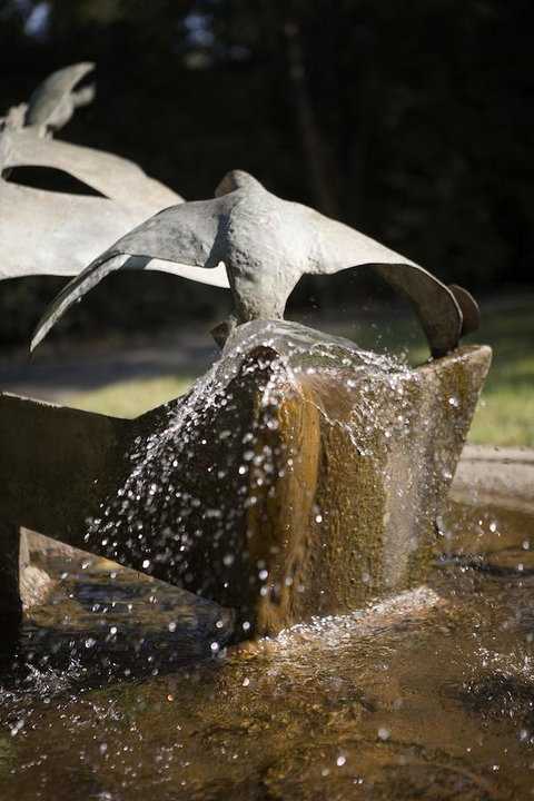 University House - ANU - C Tourism 30