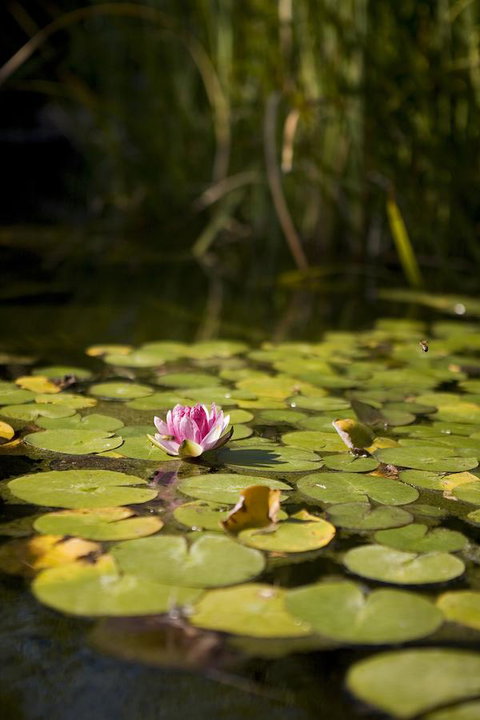 University House - ANU - C Tourism 35