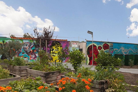 Canberra Luxury Apartment 3 - C Tourism 13