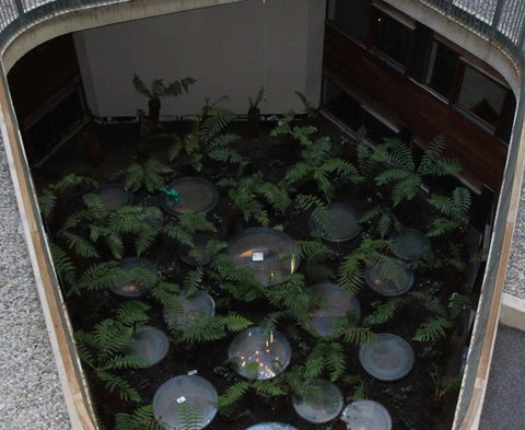 Canberra Luxury Apartment 3 - C Tourism 32