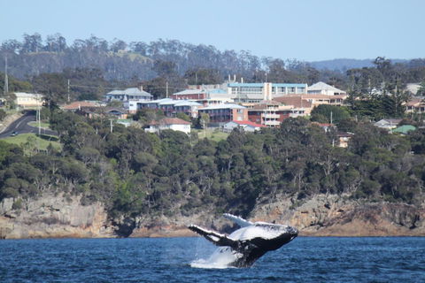 Heritage House Motel & Units - C Tourism 27