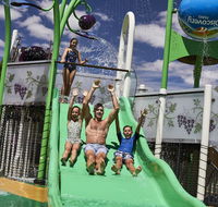 Discovery Parks  Barossa Valley - C Tourism