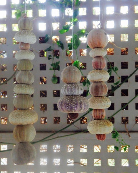 Driftwood On Dover - C Tourism 11