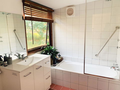 Lost In The Vines - C Tourism 10