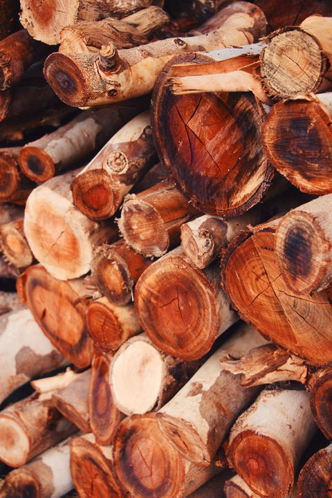 Lost In The Vines - C Tourism 20