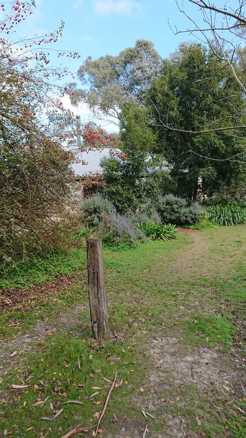 Lost In The Vines - C Tourism 21