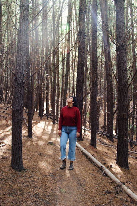 Lost In The Vines - C Tourism 19