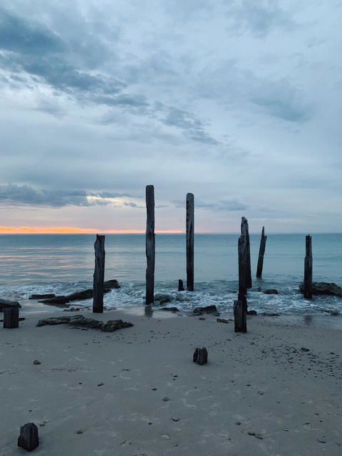 Lost In The Vines - C Tourism 18