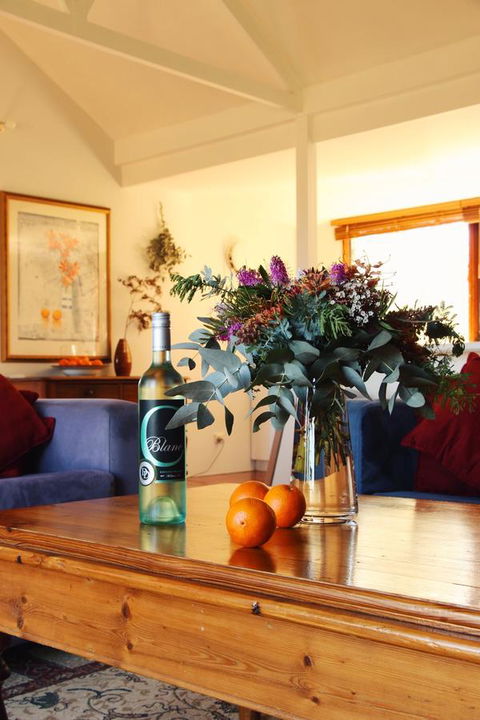 Lost In The Vines - C Tourism 11