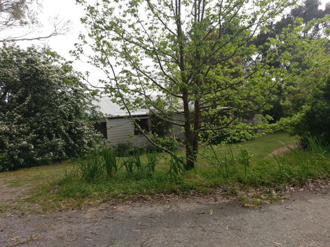 Lost In The Vines - C Tourism 24