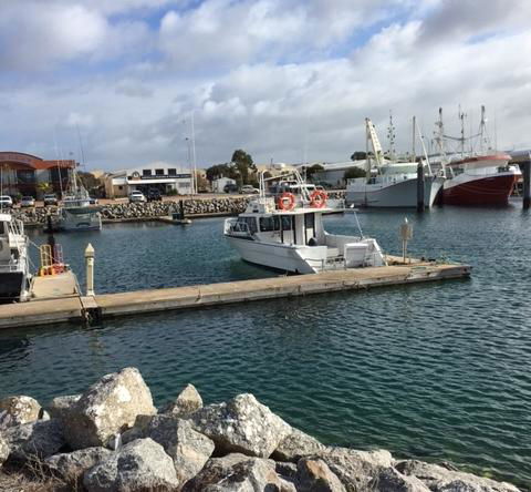 Port Lincoln Shark Apartment 1 - C Tourism 14