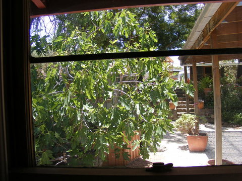 Trevalia Accommodation - C Tourism 4