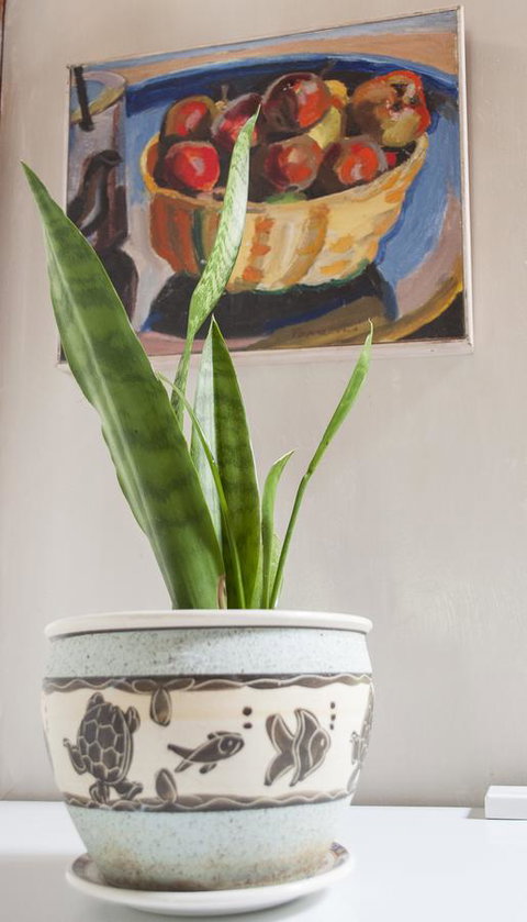 Trevalia Accommodation - C Tourism 27