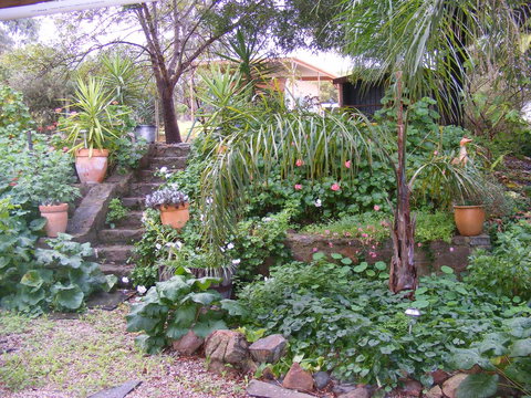 Trevalia Accommodation - C Tourism 12