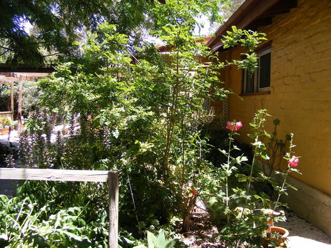 Trevalia Accommodation - C Tourism 7