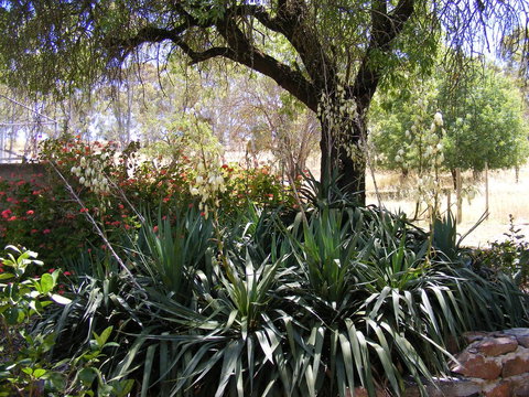 Trevalia Accommodation - C Tourism 6