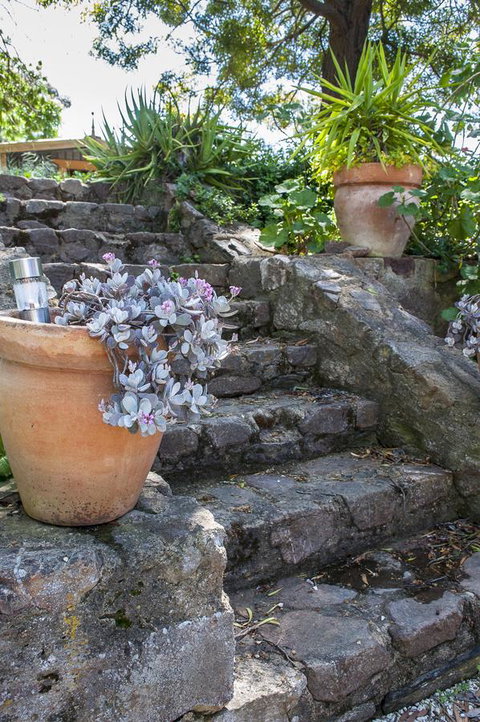 Trevalia Accommodation - C Tourism 22