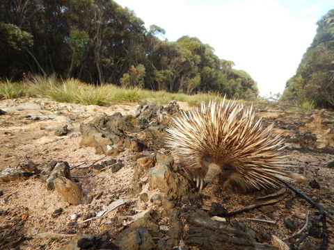 Kangaroo Island Wilderness Retreat - C Tourism 20