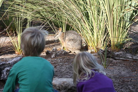 Kangaroo Island Wilderness Retreat - C Tourism 30