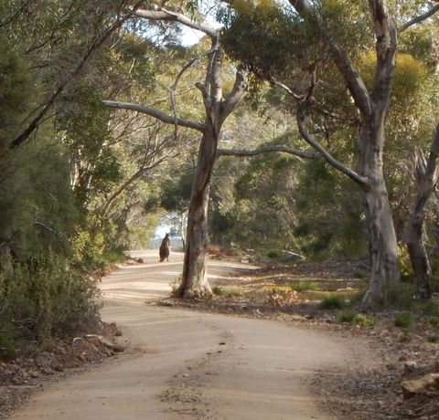 Kangaroo Island Wilderness Retreat - C Tourism 22