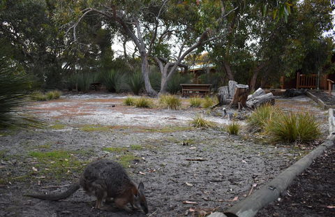 Kangaroo Island Wilderness Retreat - C Tourism 1