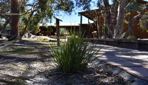 Kangaroo Island Wilderness Retreat - C Tourism 21