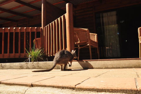 Kangaroo Island Wilderness Retreat - C Tourism 9