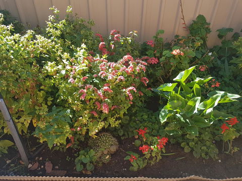 Tanunda\'s Magpie House - C Tourism 24