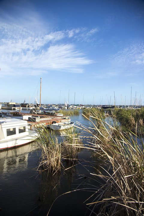 Wayfarers Cottage - C Tourism 15