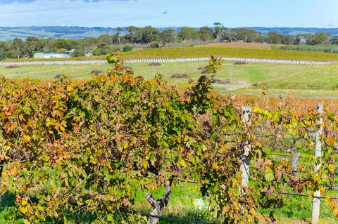 Sun & Surf Aldinga Beach Apartment - C Tourism 15