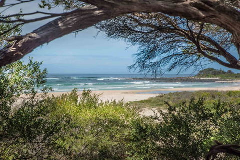 BIG4 Tasman Holiday Parks - Racecourse Beach - C Tourism 7