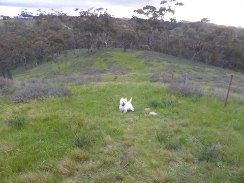 Molly's Chase - C Tourism 22