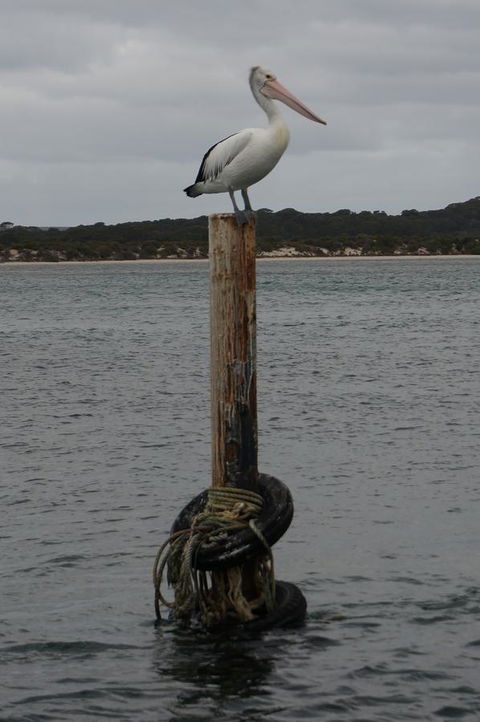 Kohinoor Getaway - C Tourism 13